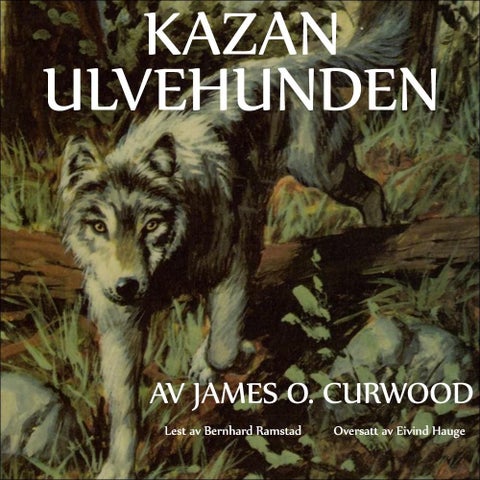 Kazan ulvehunden