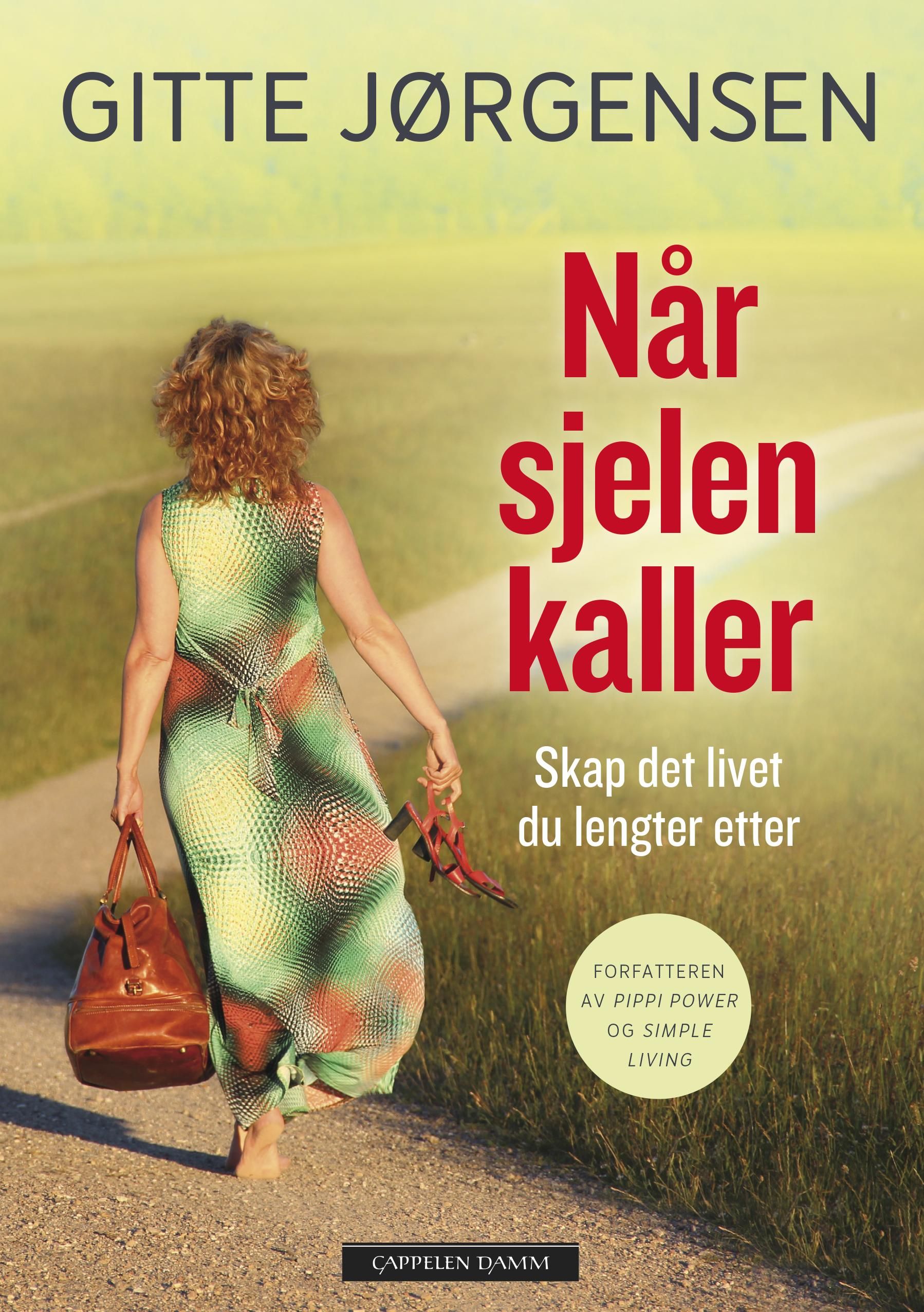 Når sjelen kaller - skap det livet du lengter etter