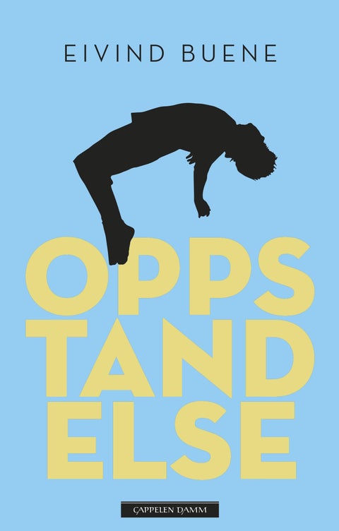 Oppstandelse - roman