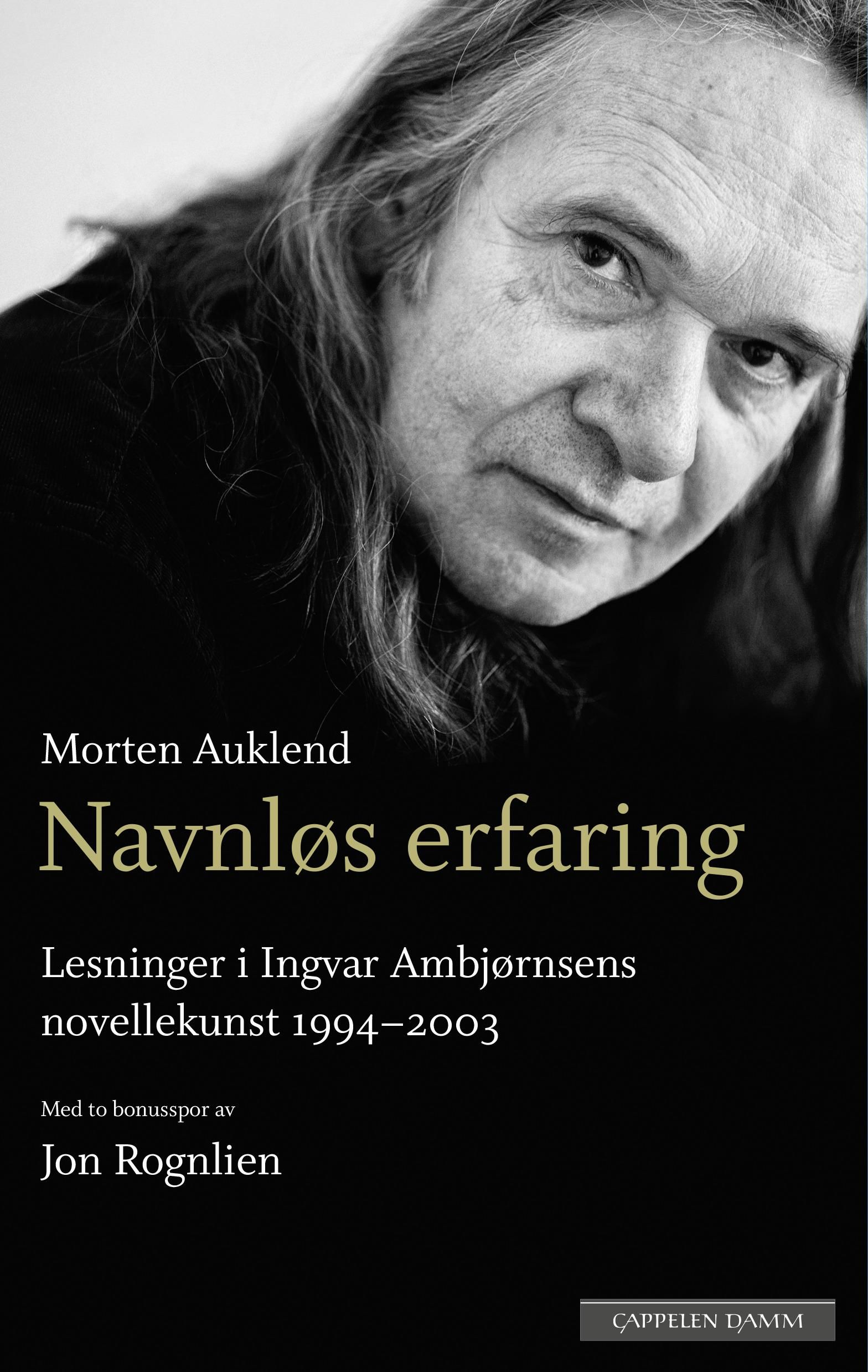 Navnløs erfaring - lesninger i Ingvar Ambjørnsens novellekunst 1994-2003 : med to bonusspor om forfatterskapet av Jon Rognlien
