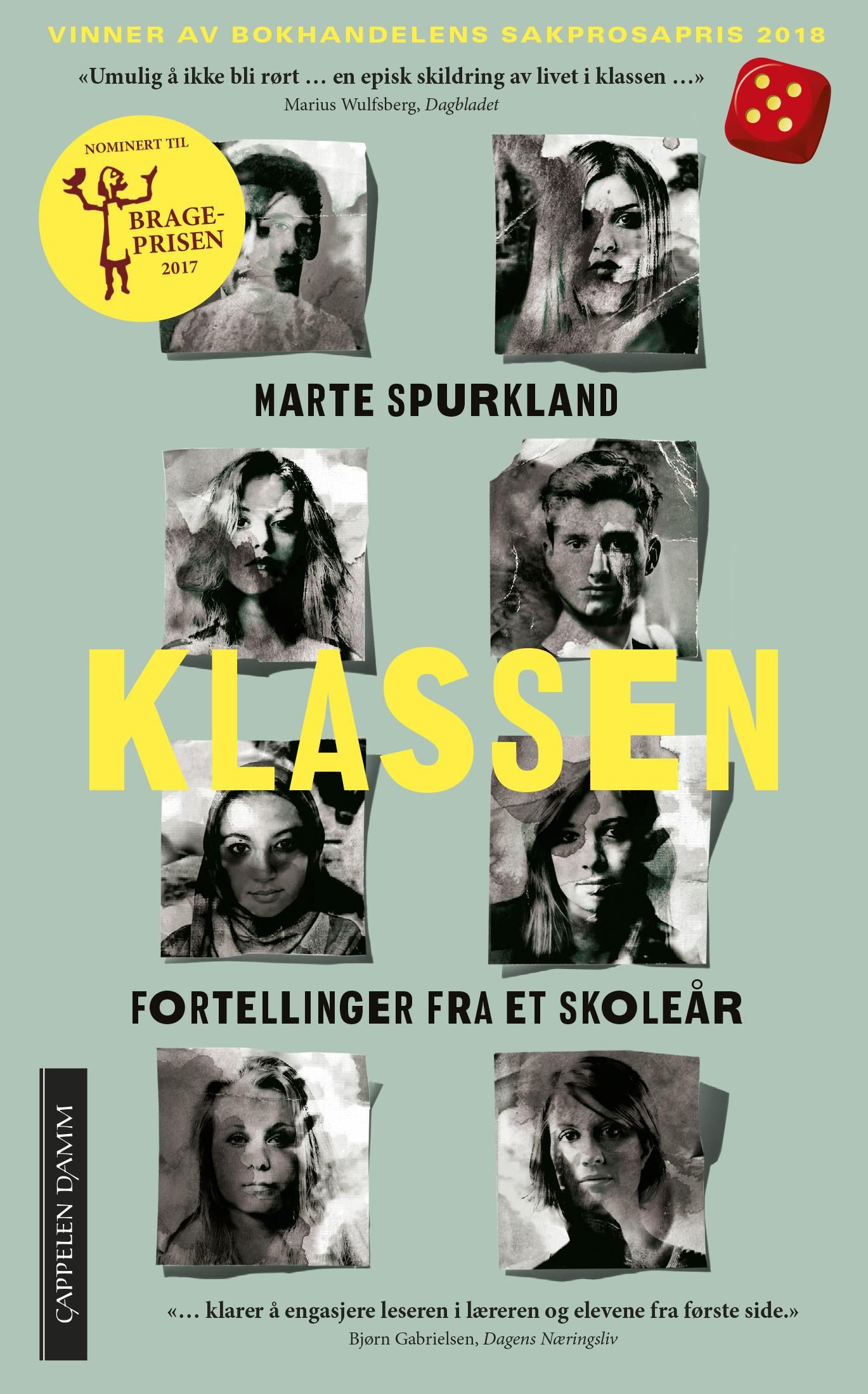 Klassen - fortellinger fra et skoleår