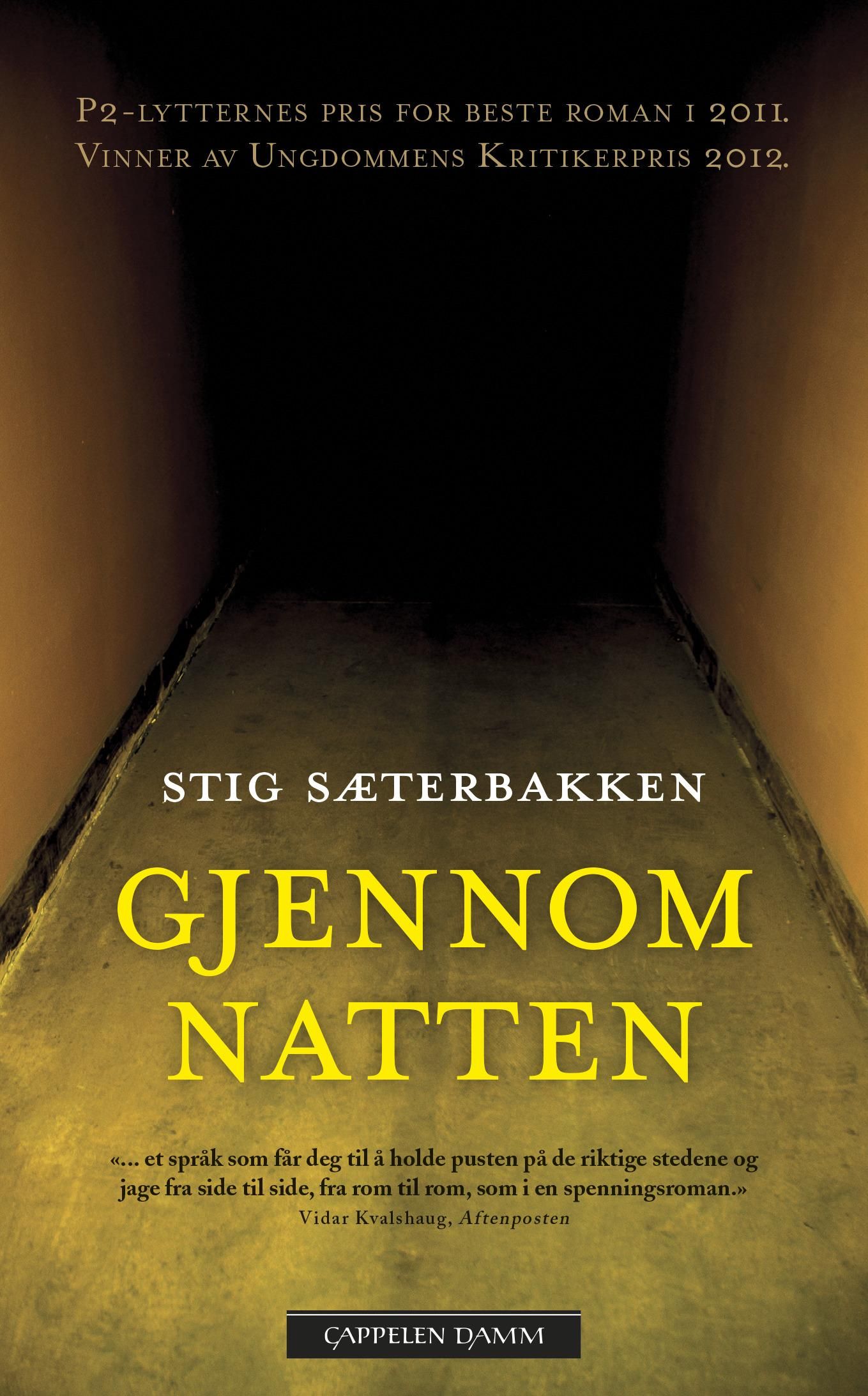 Gjennom natten - roman