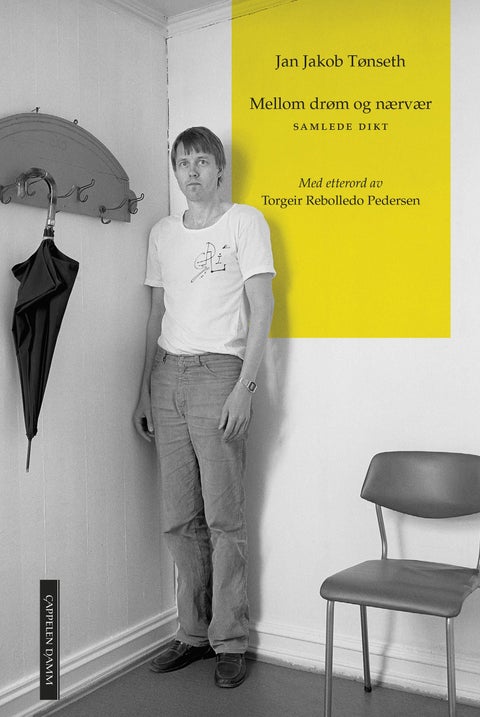 Mellom drøm og nærvær - dikt i samling