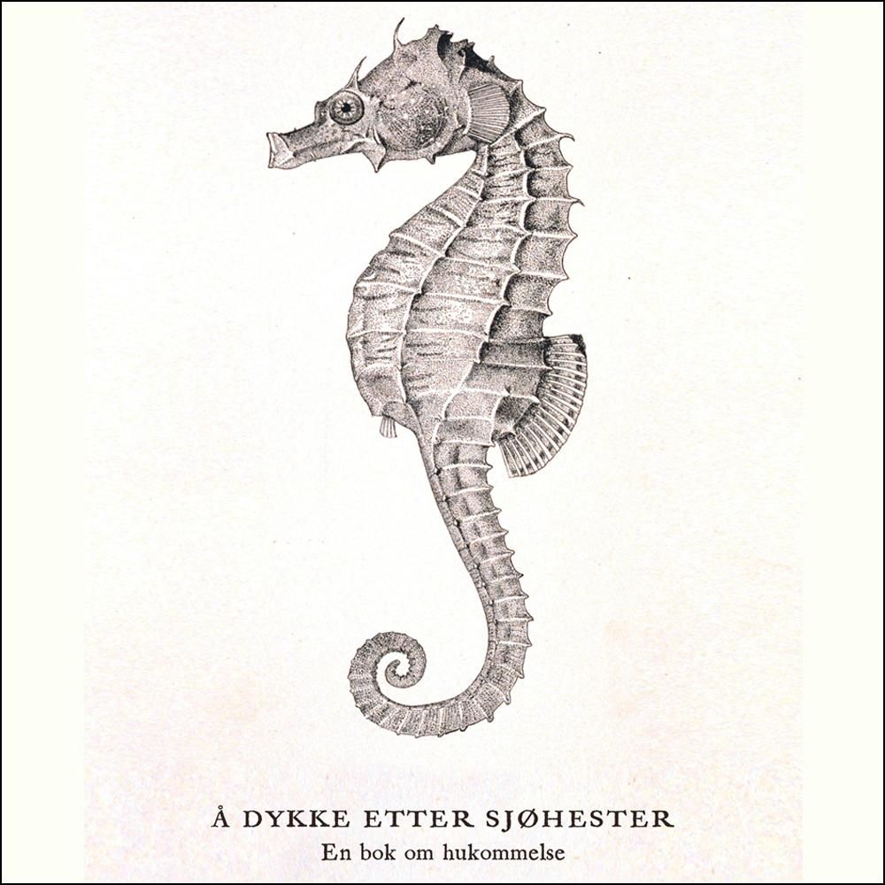 Å dykke etter sjøhester - en bok om hukommelse