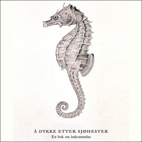 Å dykke etter sjøhester - en bok om hukommelse