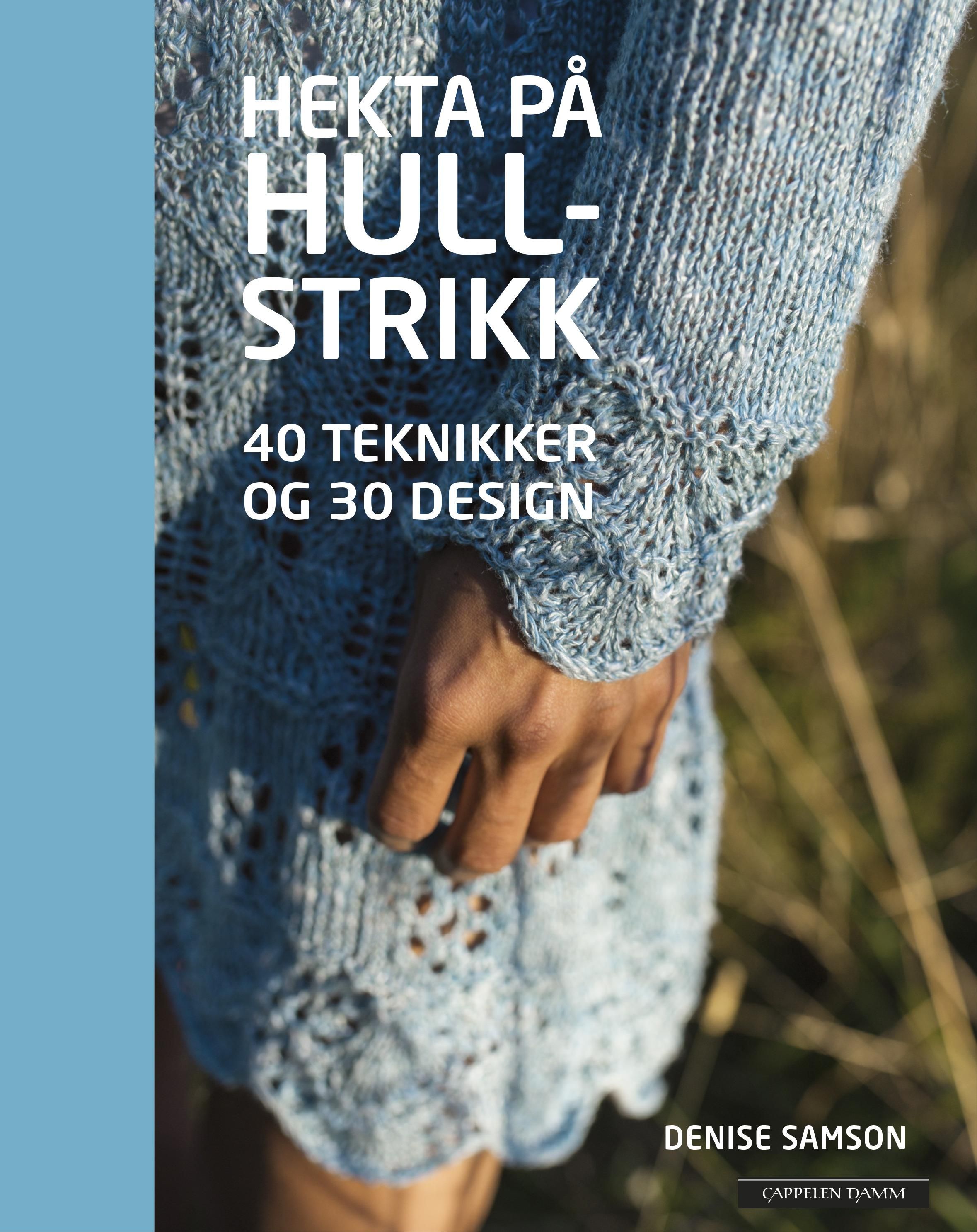 Hekta på hullstrikk - 40 teknikker og 30 design
