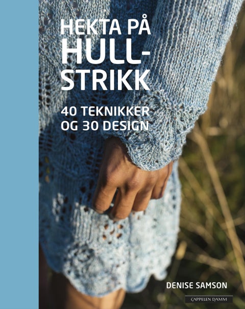 Hekta på hullstrikk - 40 teknikker og 30 design