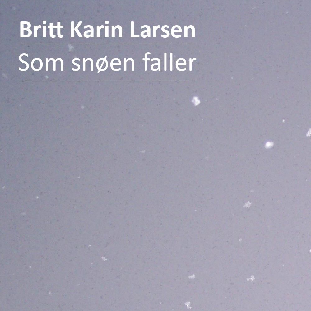Som snøen faller - roman