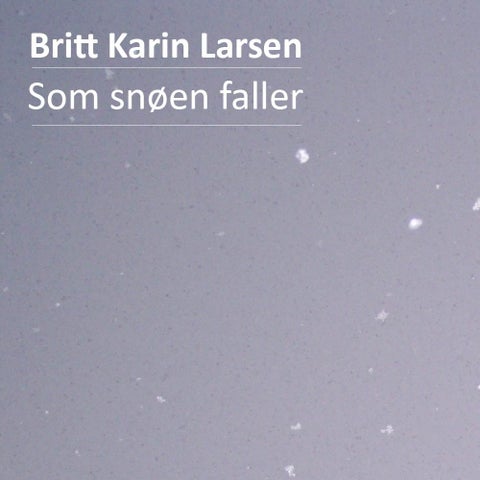 Som snøen faller - roman