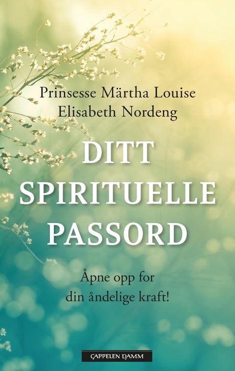 Ditt spirituelle passord - åpne opp for din åndelige kraft!