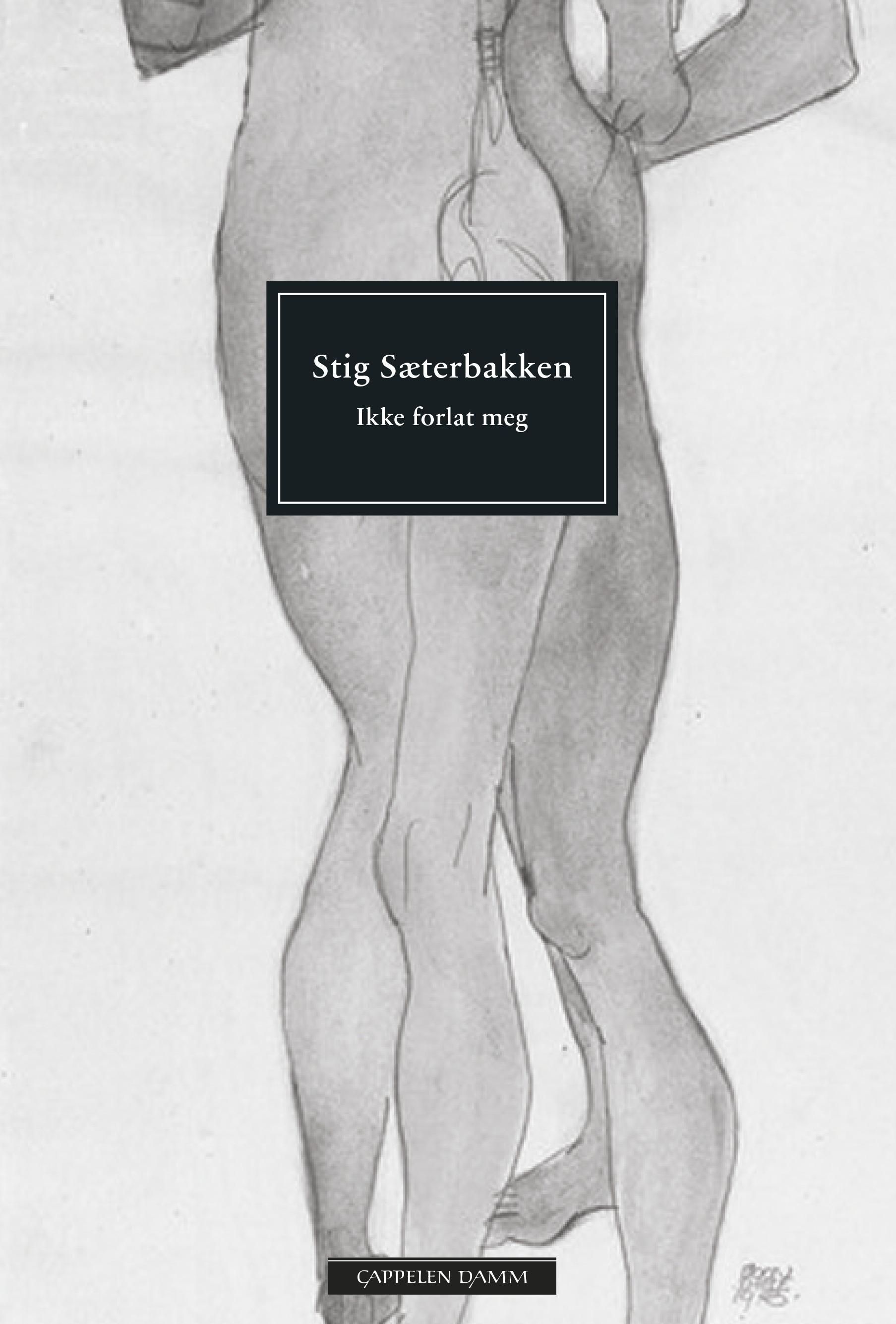 Ikke forlat meg - roman