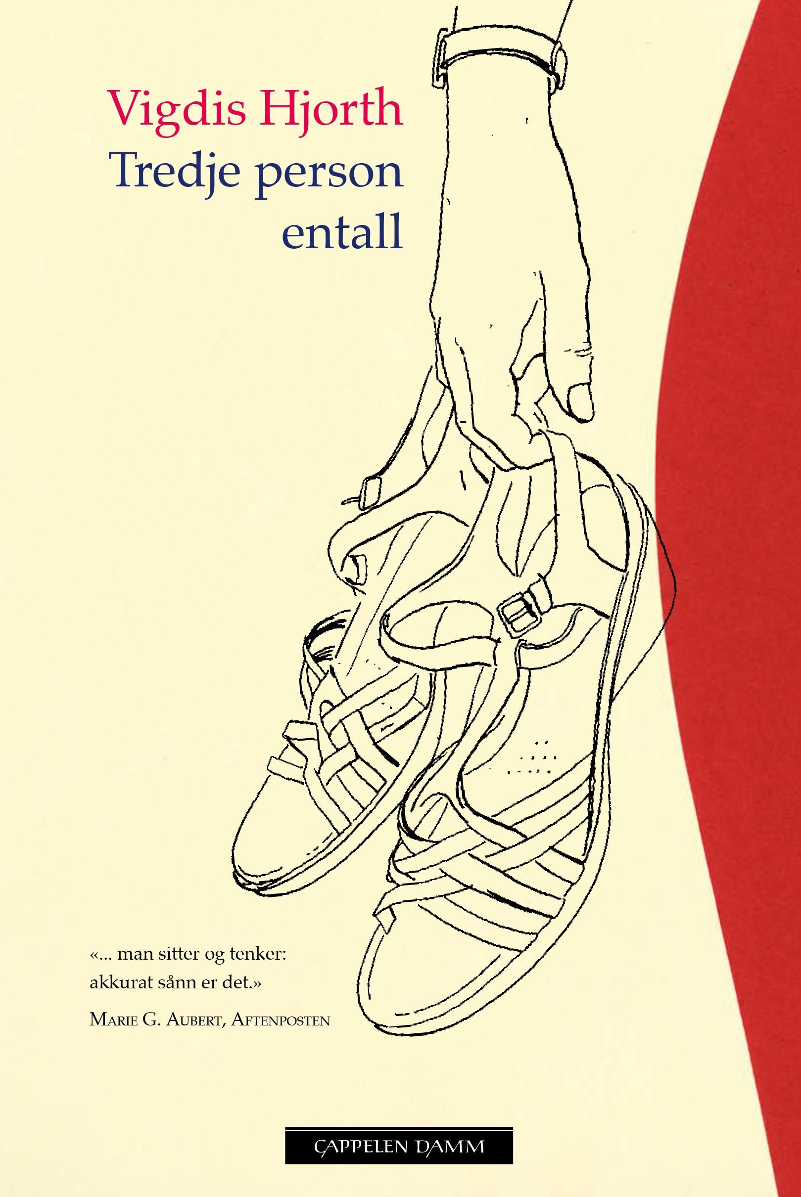 Tredje person entall - roman