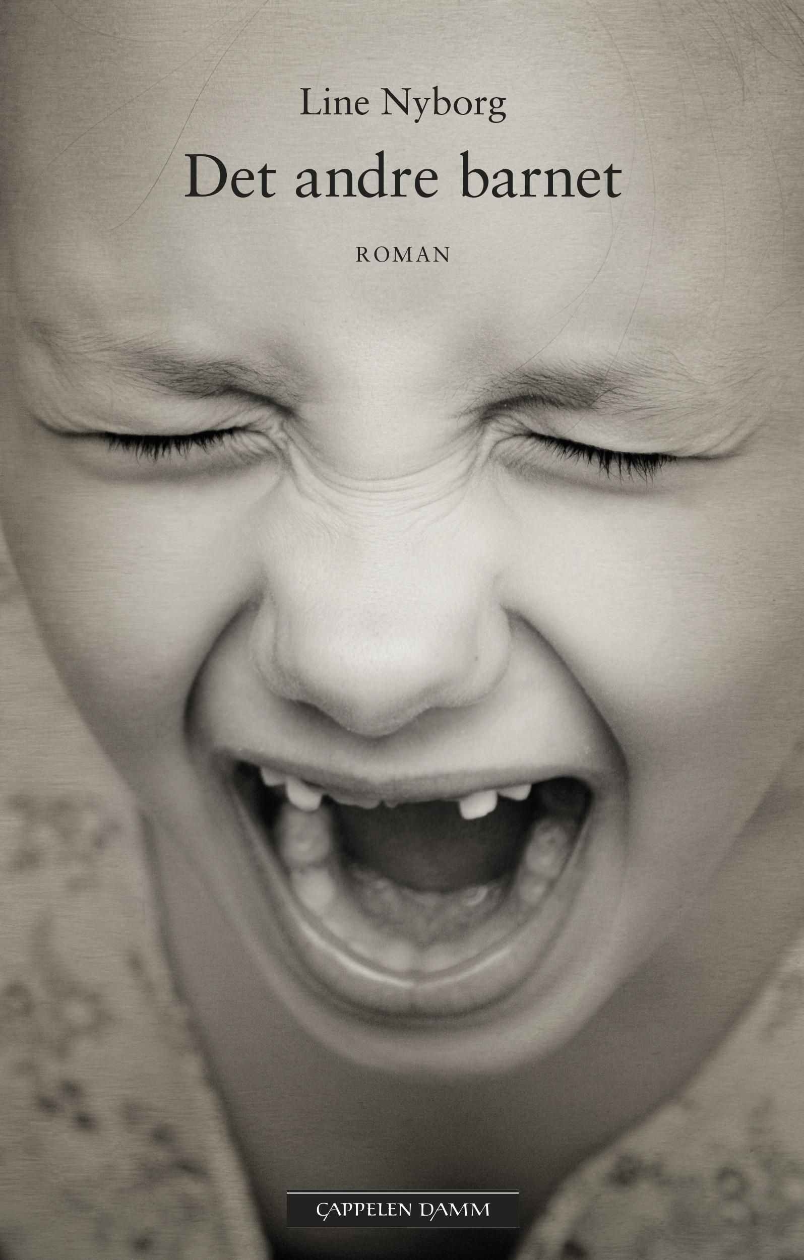 Det andre barnet - roman