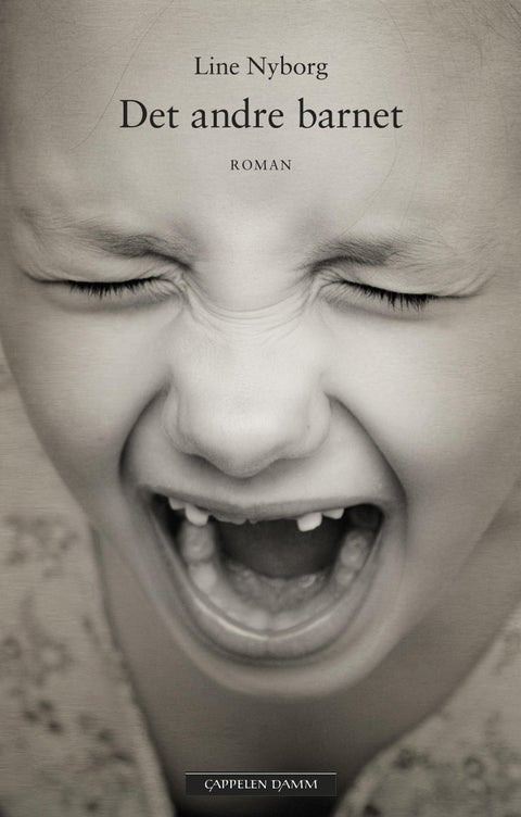 Det andre barnet - roman