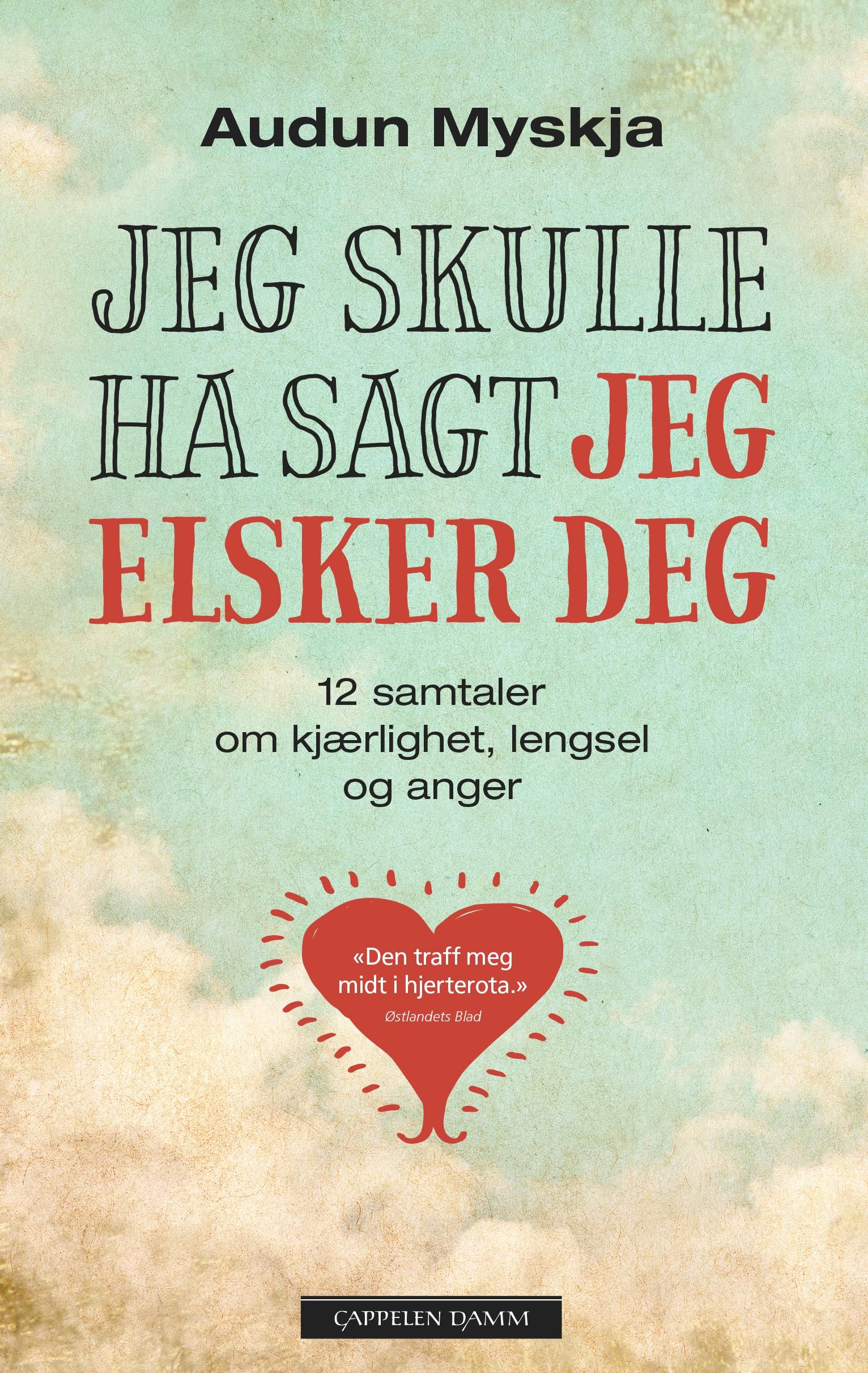 Jeg skulle ha sagt jeg elsker deg - 12 samtaler om kjærlighet, lengsel og anger ved livets slutt