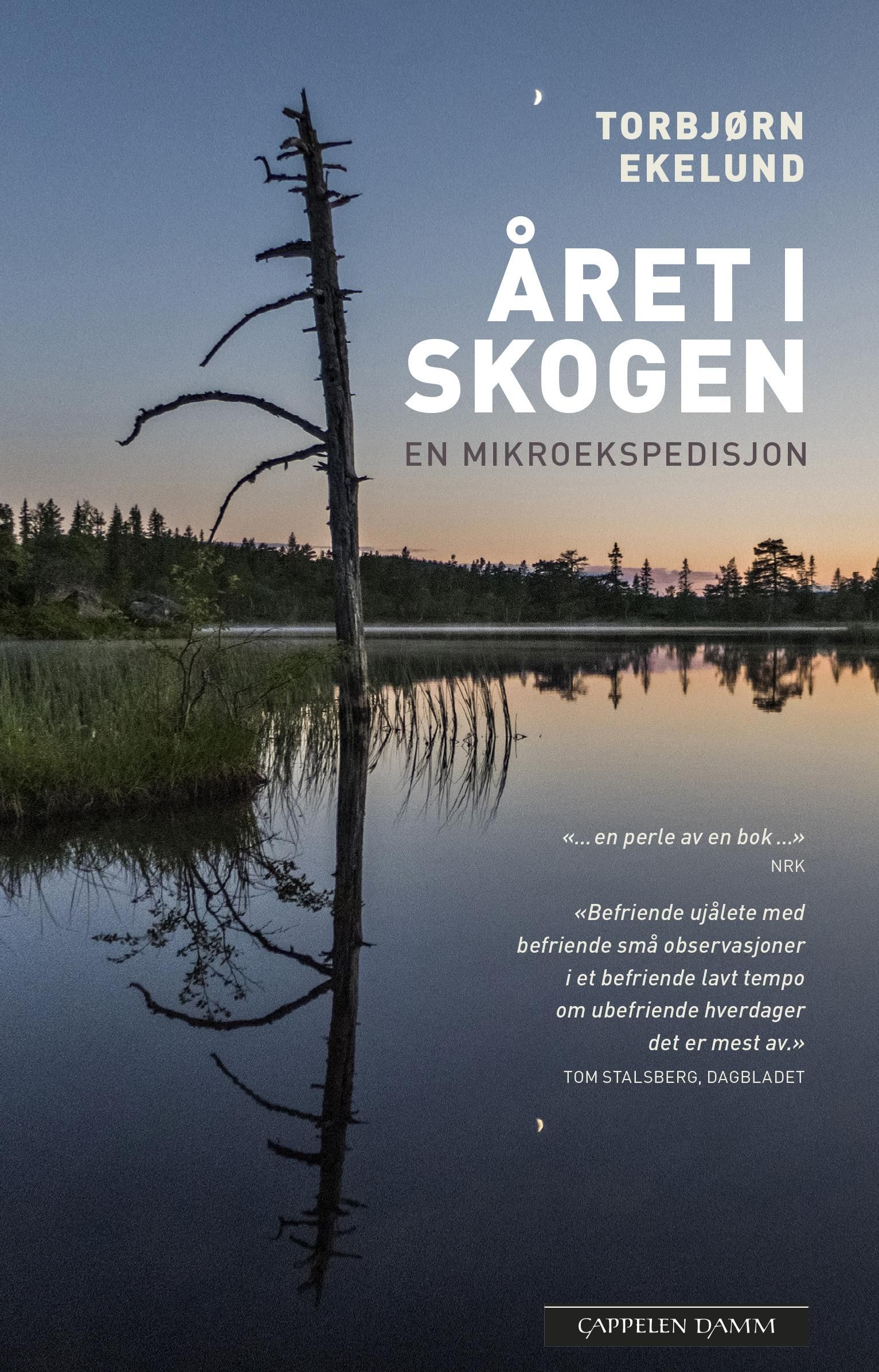 Året i skogen - en mikroekspedisjon