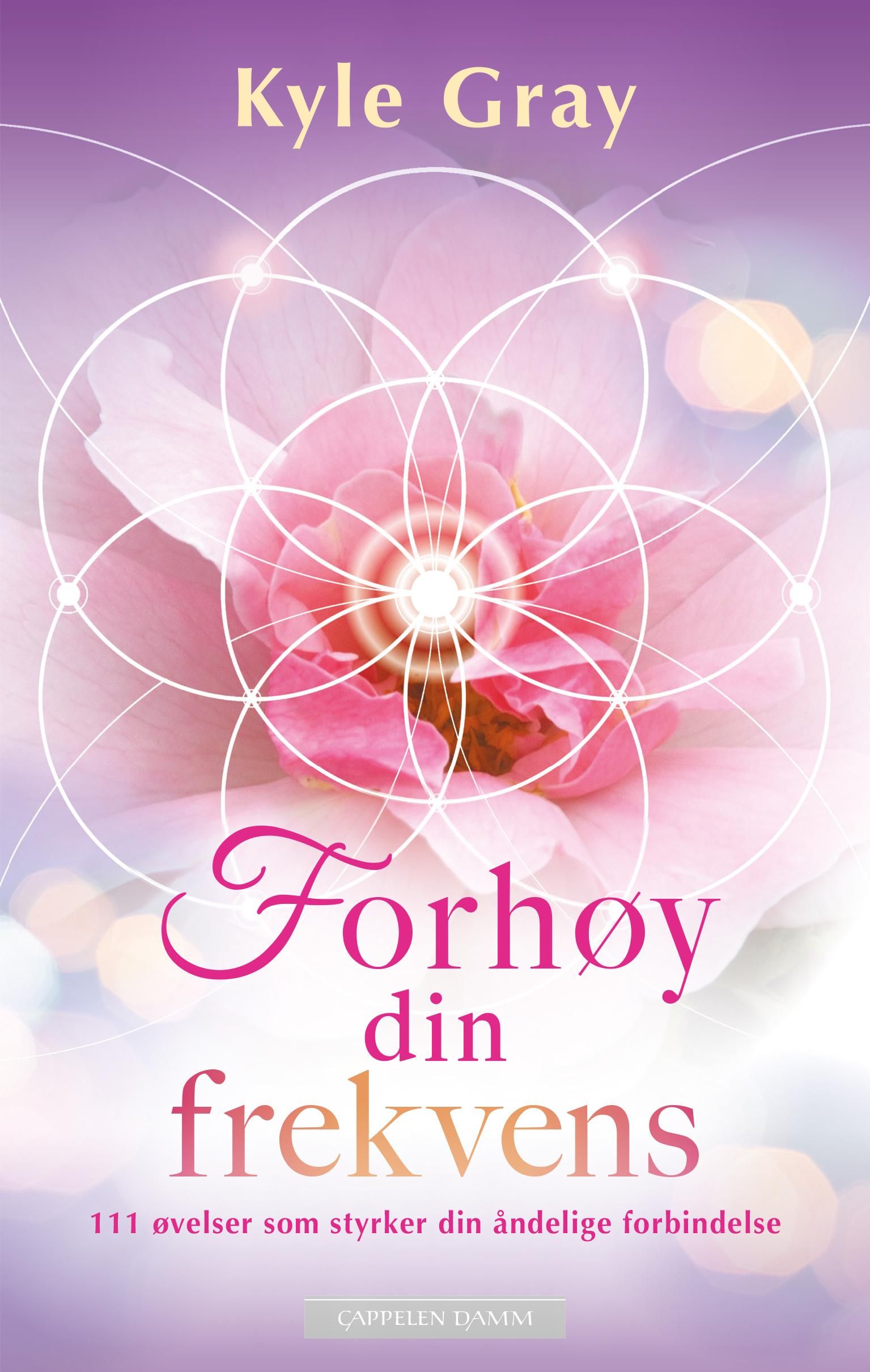 Forhøy din frekvens - 111 øvelser som styrker din åndelige forbindelse