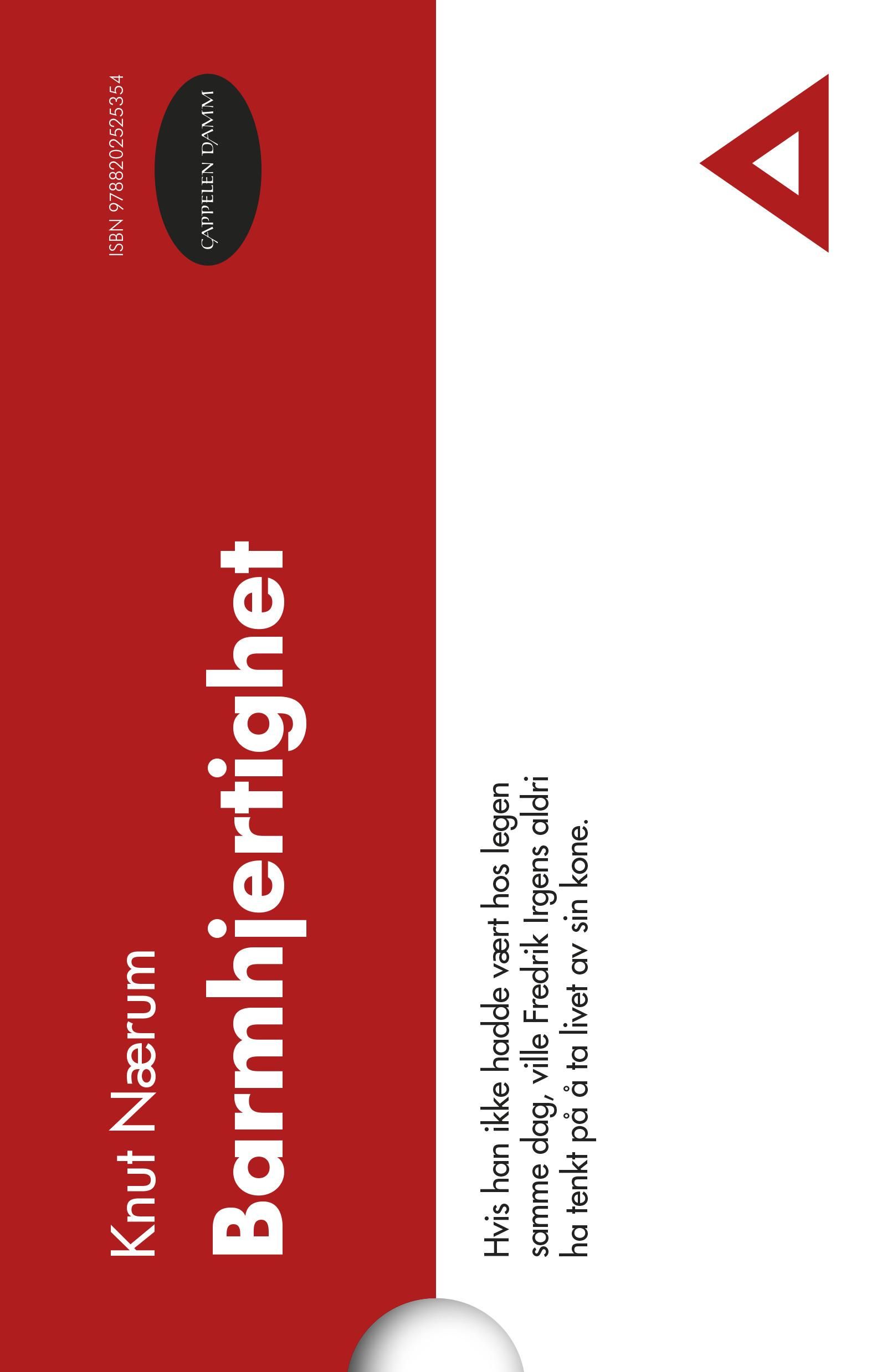 Barmhjertighet - roman