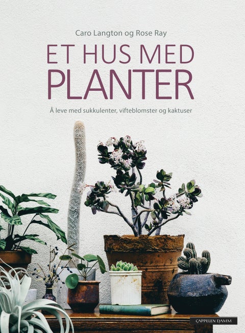 Et hus med planter - å leve med sukkulenter, vifteblomster og kaktuser