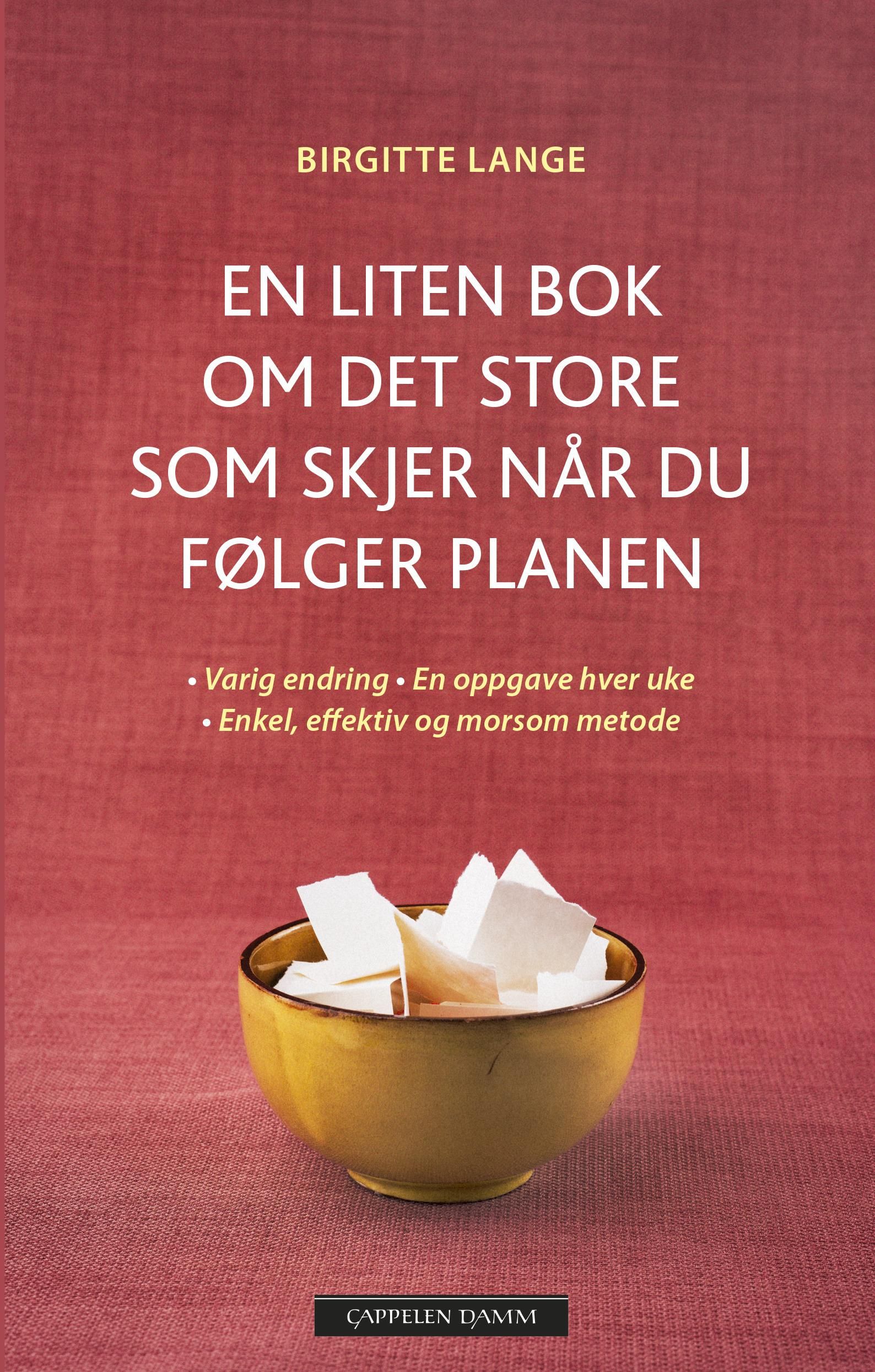 En liten bok om det store som skjer når du følger planen - varig endring, en oppgave hver uke, enkel, effektiv og morsom metode