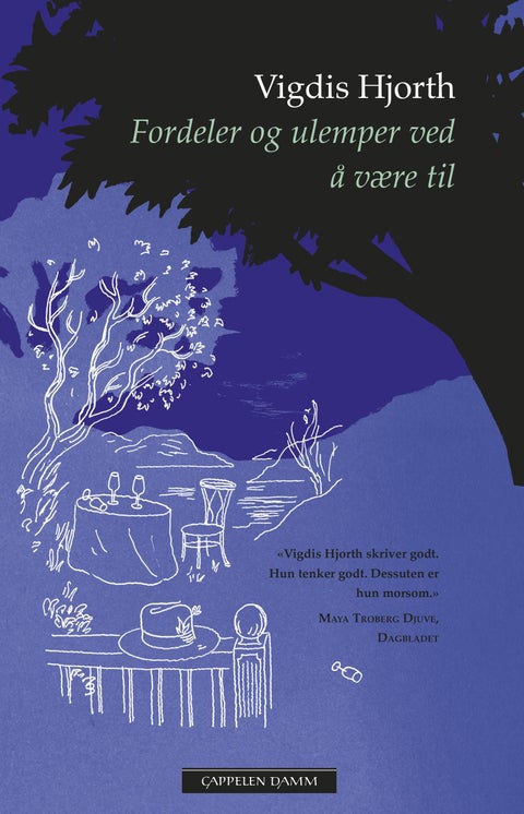 Fordeler og ulemper ved å være til - roman