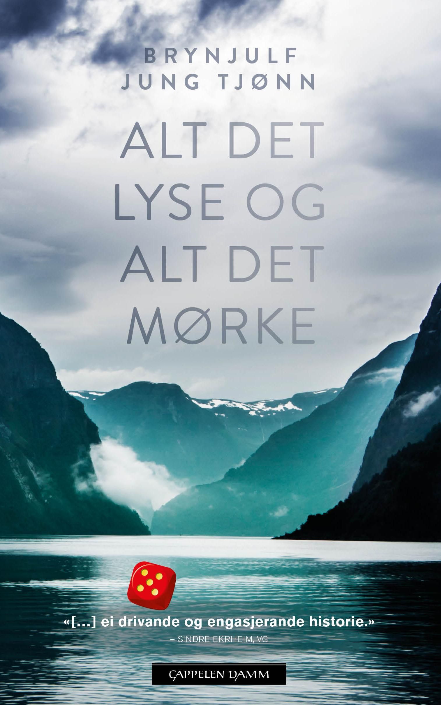 Alt det lyse og alt det mørke - roman