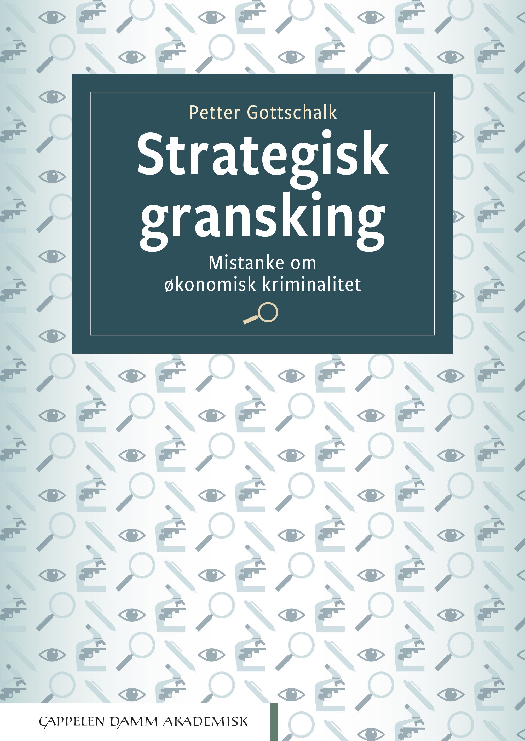 Strategisk gransking - mistanke om økonomisk kriminalitet
