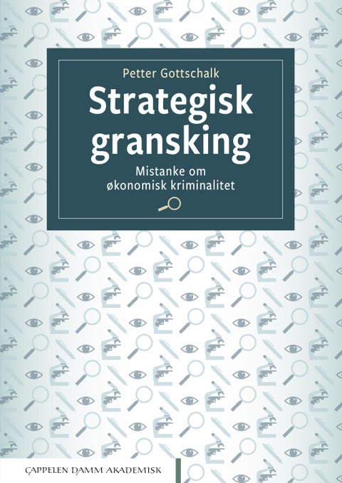 Strategisk gransking - mistanke om økonomisk kriminalitet