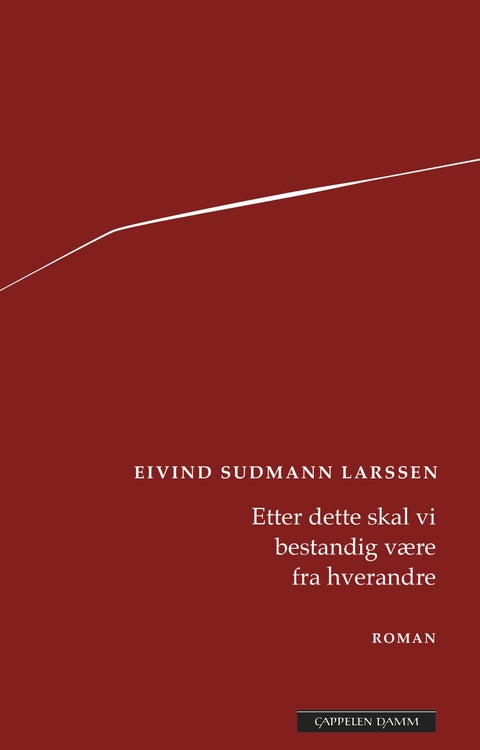 Etter dette skal vi bestandig være fra hverandre - roman