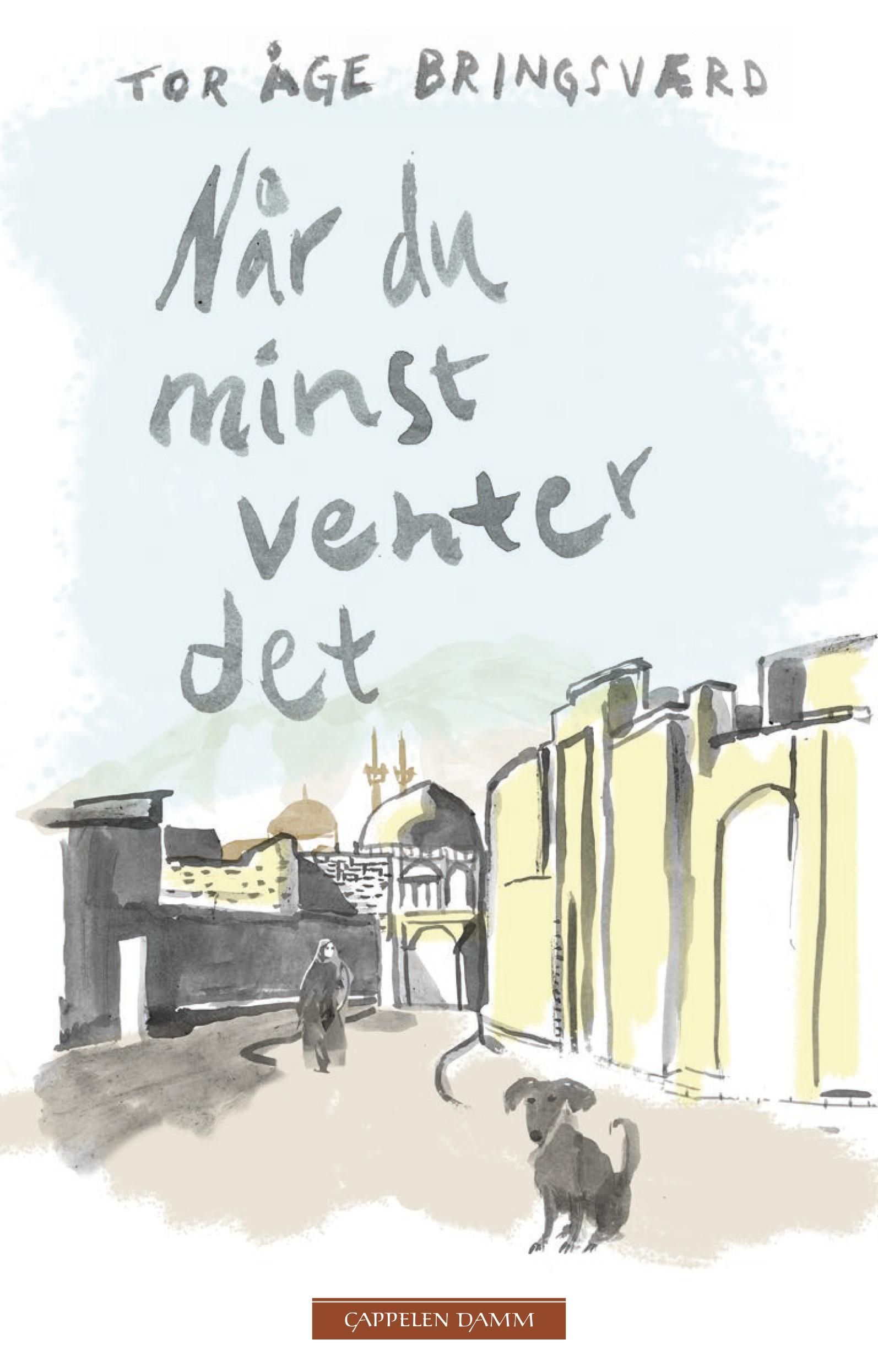 Når du minst venter det - fragmentroman