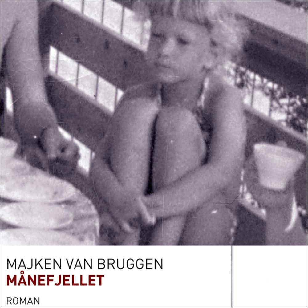 Månefjellet - roman