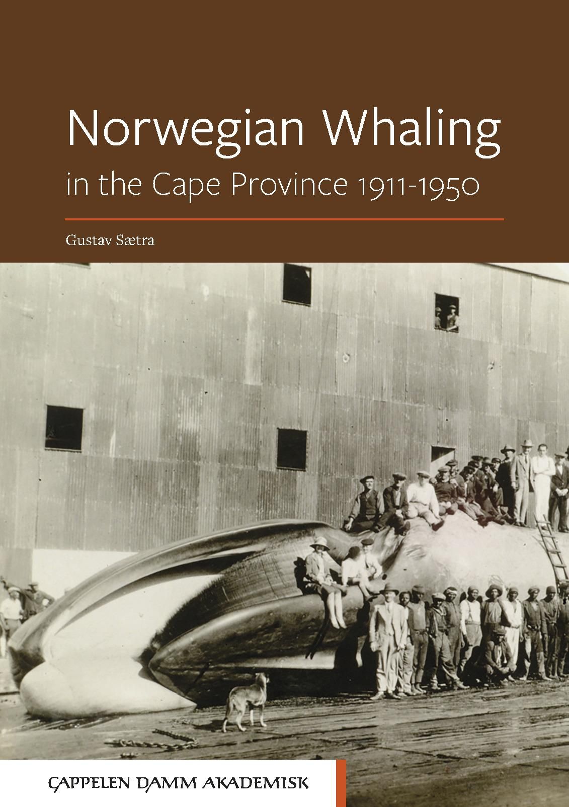 Norwegian whaling - in the Cape Province 1911-1950