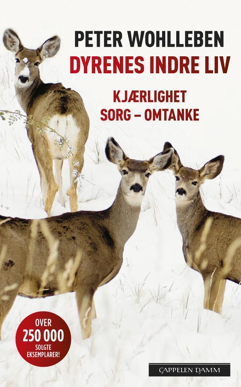 Dyrenes indre liv - kjærlighet, sorg, omtanke