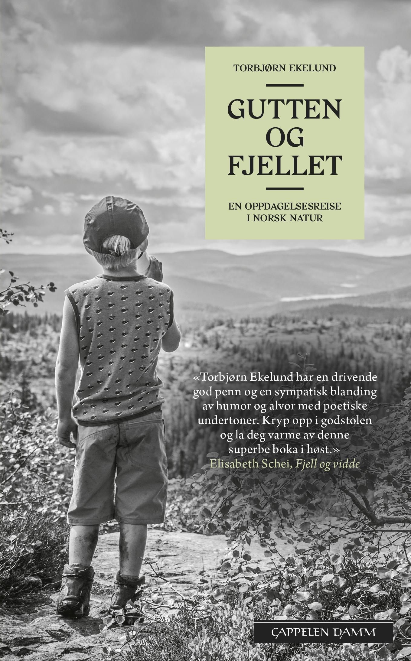 Gutten og fjellet - en oppdagelsesreise i norsk natur