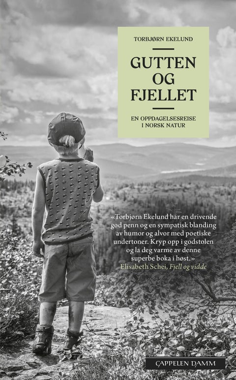 Gutten og fjellet - en oppdagelsesreise i norsk natur