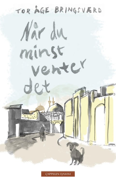 Når du minst venter det - fragmentroman