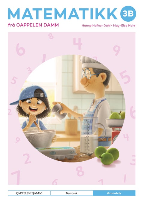 Matematikk 3B frå Cappelen Damm - Grunnbok