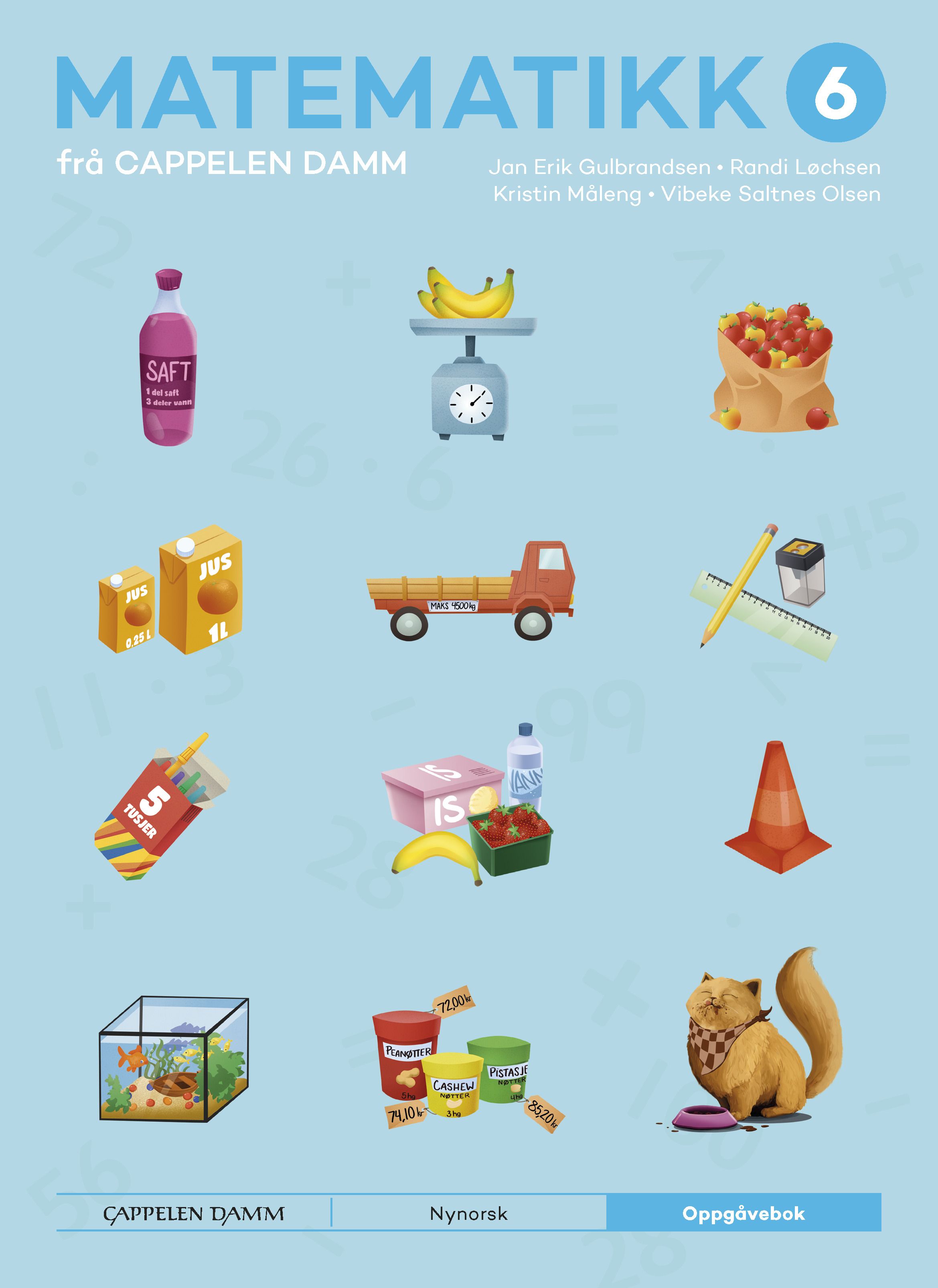 Matematikk 6 frå Cappelen Damm - Oppgåvebok