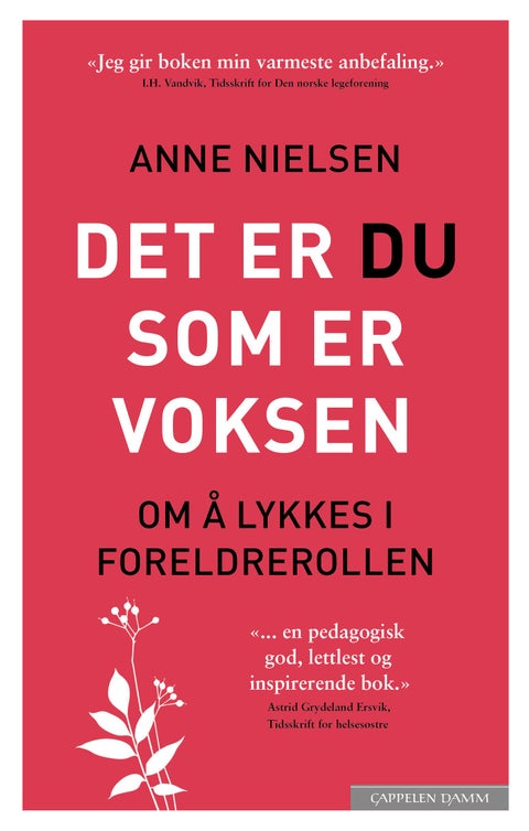 Det er du som er voksen - om å lykkes i foreldrerollen