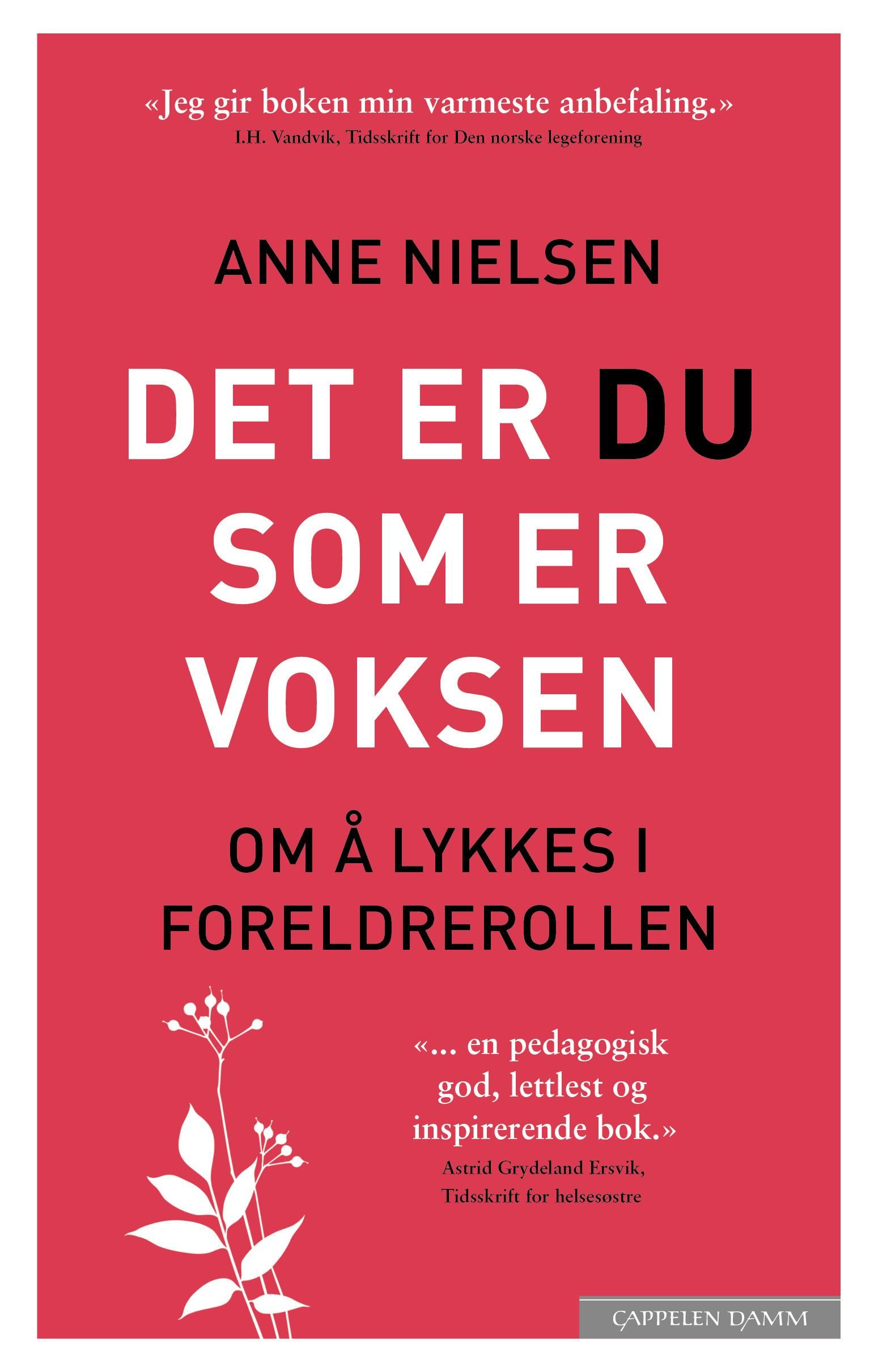 Det er du som er voksen - om å lykkes i foreldrerollen
