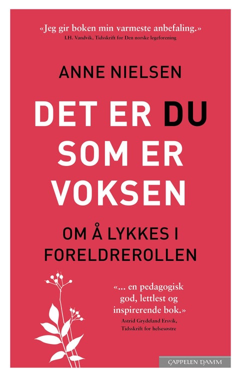 Det er du som er voksen - om å lykkes i foreldrerollen