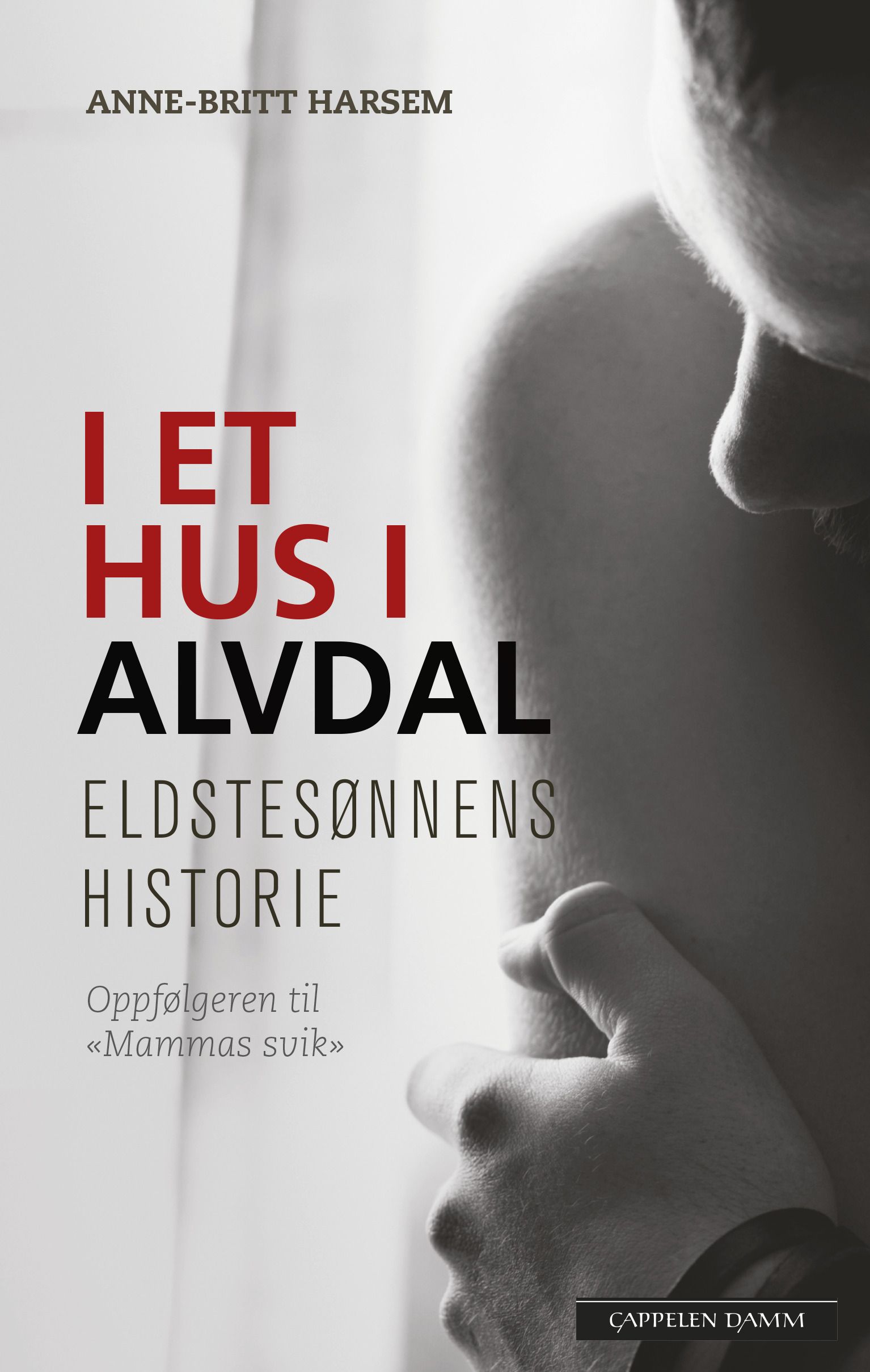 I et hus i Alvdal - eldstesønnens historie