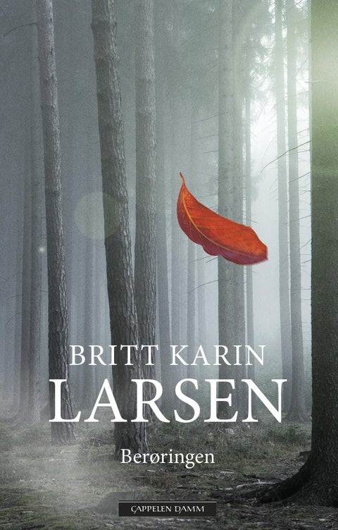 Berøringen - roman