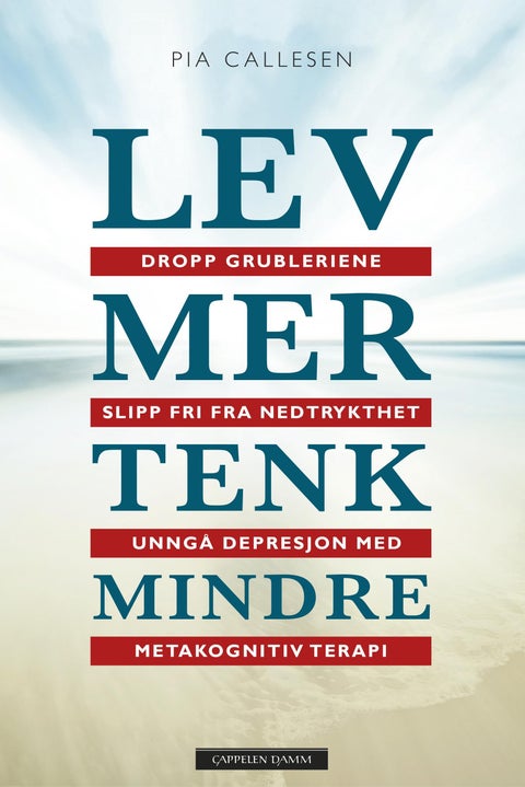 Lev mer tenk mindre - dropp grubleriene og slipp fri fra nedstemthet og depresjon med metakognitiv terapi