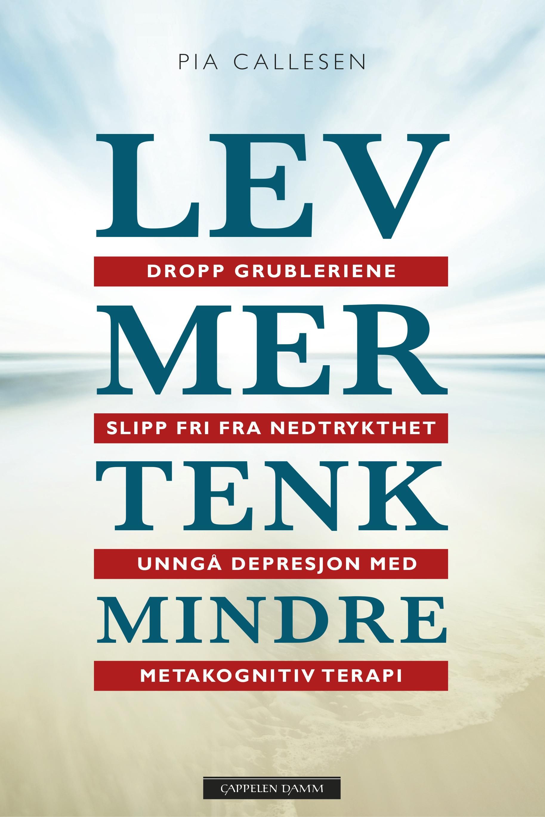 Lev mer tenk mindre - dropp grubleriene og slipp fri fra nedstemthet og depresjon med metakognitiv terapi