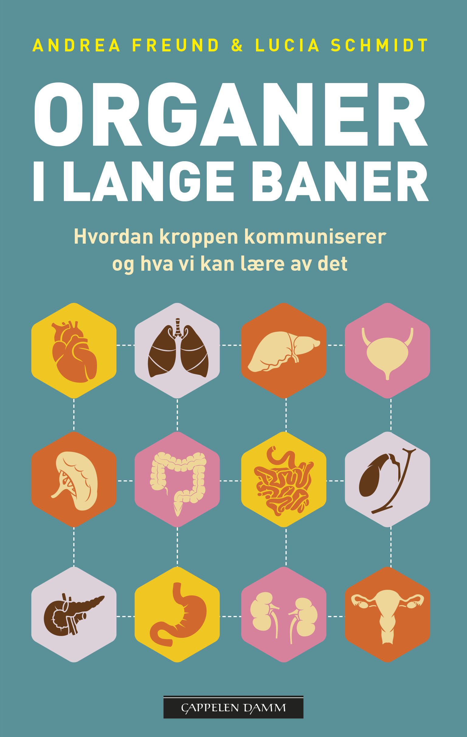 Organer i lange baner - våre undervurderte organer, hvordan de kommuniserer og hva vi kan lære av dem