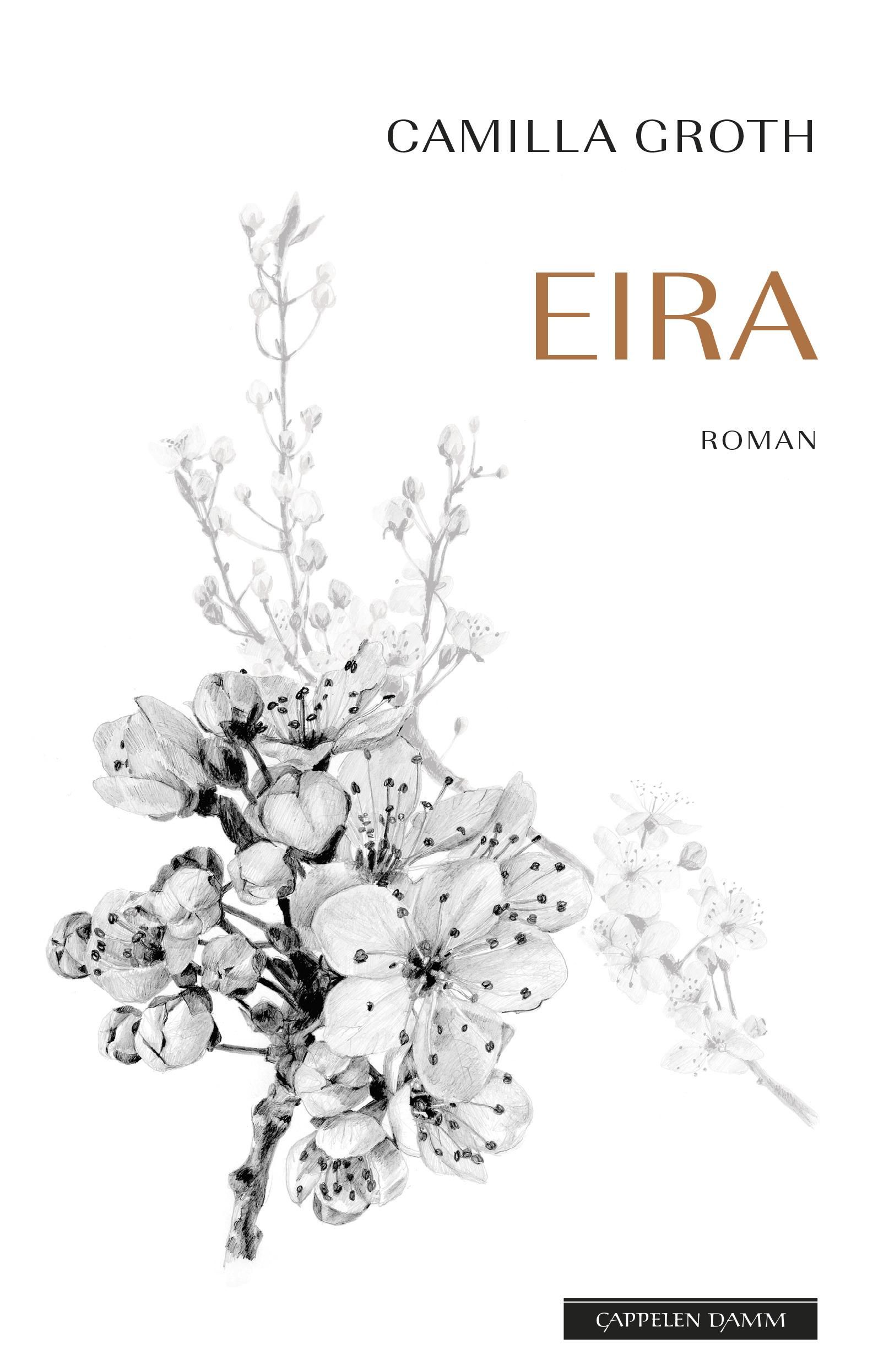 Eira - roman