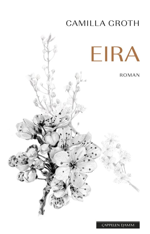 Eira - roman
