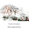 Pelargonia