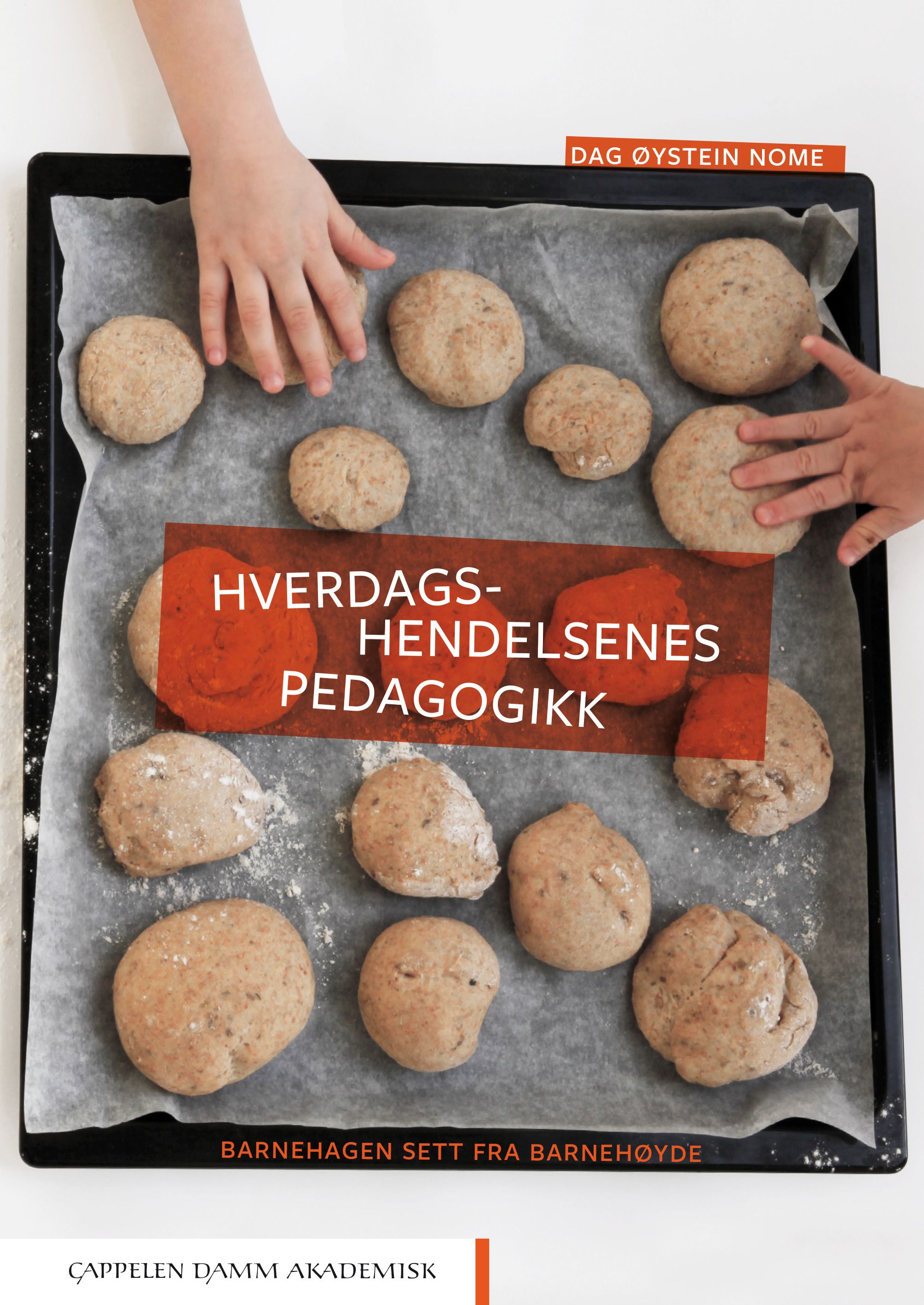 Hverdagshendelsenes pedagogikk - barnehagen sett fra barnehøyde